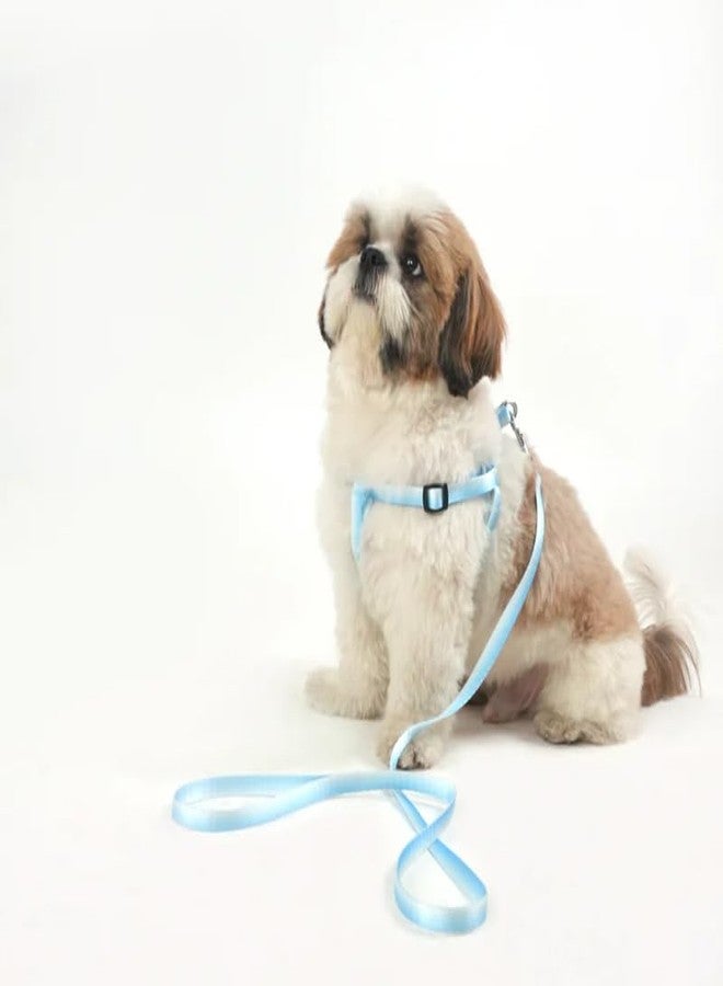 KittuPet طقم سرج ومقود للكلاب الصغيرة من كيتو بيت، لون أزرق. انتقل من سرج للكلب الكبير إلى سرج للجرو. - Image 4